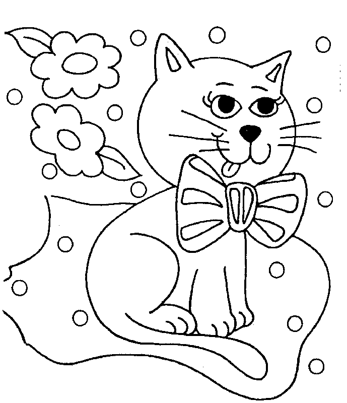 Cat 14